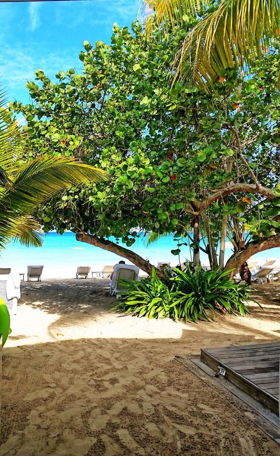 Idle Awhile Beach Hotel Negril Eksteriør billede