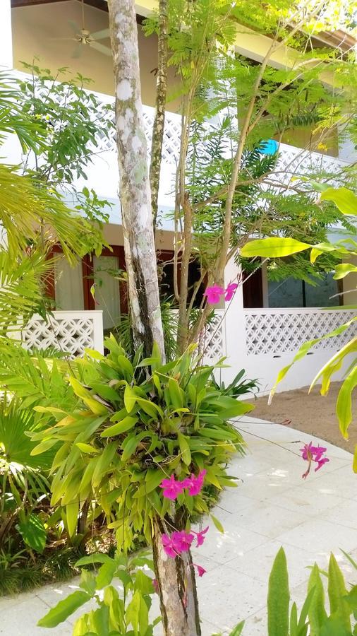Idle Awhile Beach Hotel Negril Eksteriør billede